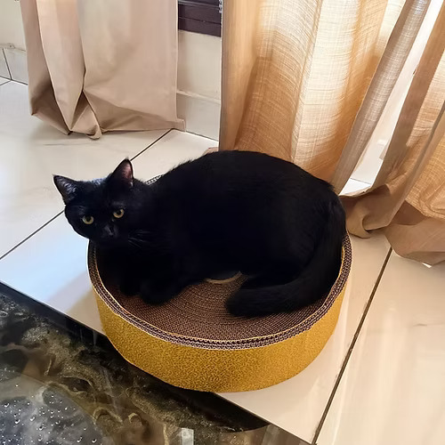 Round Basket Cardboard Scratcher 15" Inner Diameter