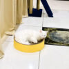 Round Basket Cardboard Scratcher 15" Inner Diameter