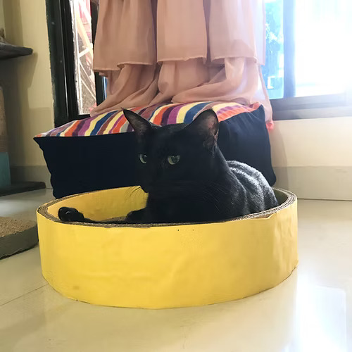 Round Basket Cardboard Scratcher 15" Inner Diameter