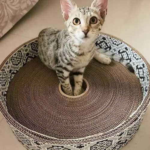 Round Basket Cardboard Scratcher 15" Inner Diameter