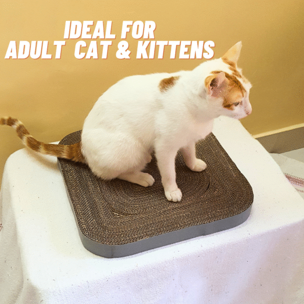 15" Square Cardboard scratcher soft edges cat scratcher