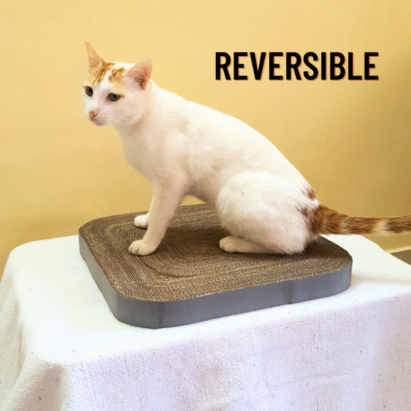 15" Square Cardboard scratcher soft edges cat scratcher