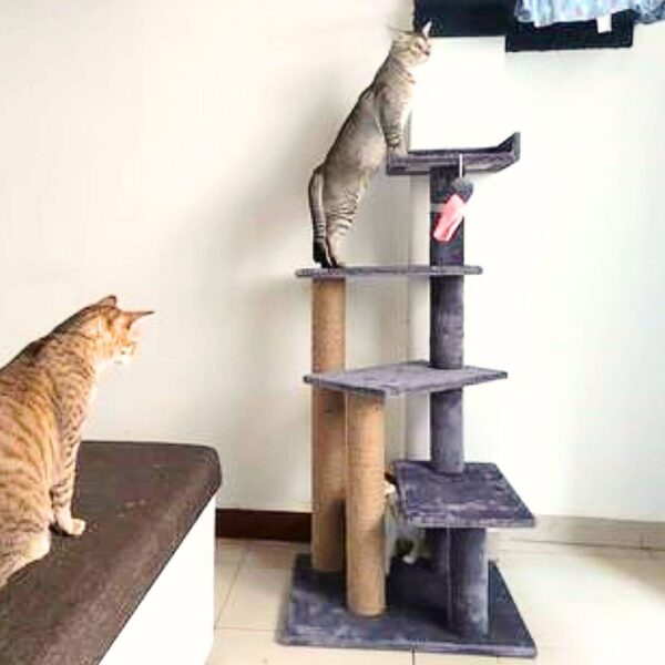 Fur Peppermint Cat Tower and Scratching Pole Tower - 4ft Tall - Adult Cats - Ideal for Old Cats