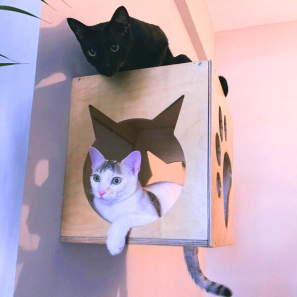 1 Cat Box Wall Mount with Paw Window – Elevated Birdwatching Perch for Cats (14"x14"x12")