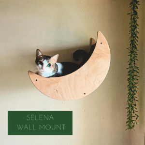Selena Cozy Cat Wall Mount – 22" Curved Platform – Felt Carpet & Birch Wood – Winter-Friendly Design