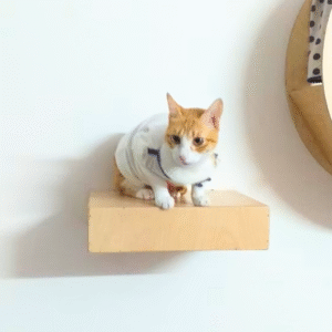 Wall Mount Floating Shelf - Sturdy and Long Lasting - 12.5 x 10 inch