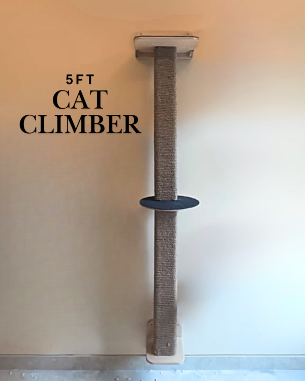 1 5ft Wall Mount Climber