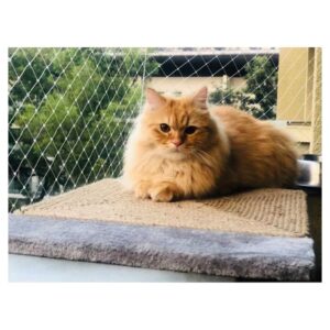 NoKachra Jute Rope Scratching Pad Horizontal Rectangle shape - 15 x 18 inch plywood plank
