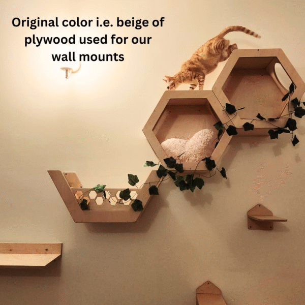 Hexagon Wall Mount Cat Box – Modern Cat Wall Shelf in Birch Plywood (Beige, Dark Brown, or Black)