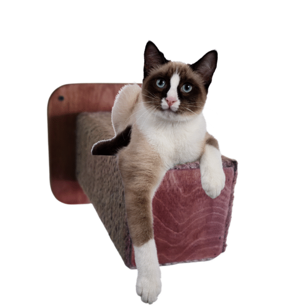 Wall Mount Pop-out Cat Scratcher – Tree-Bark Style Wall Scratching Post for Cats (11")