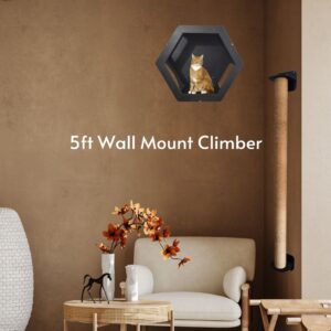 5ft Wall Mount Climber