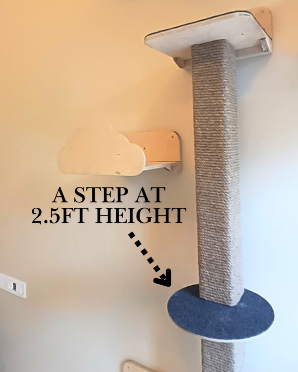 2 5ft Wall Mount Climber