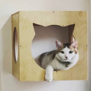Cat Box Wall Mount Cat Shape window - Perching and Sleeping Spot
