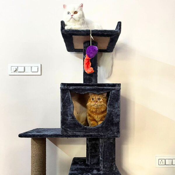Basic King Cat Tower 5ft Condo Scratcher - Play & Lounge tower - Ideal for 1 to 3 cats