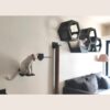 Honeycomb Wall Mount Set