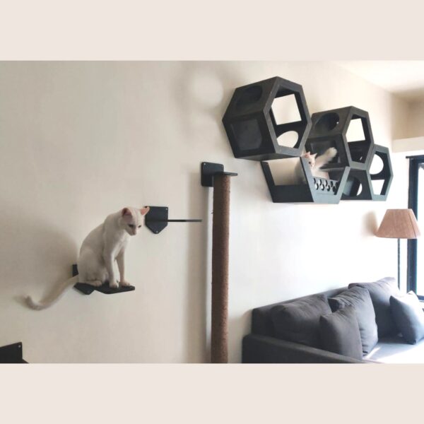 Honeycomb Wall Mount Set
