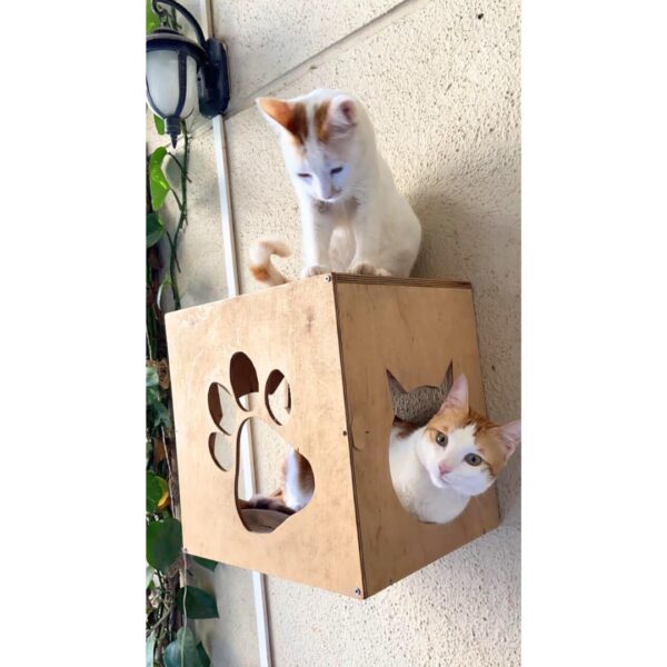 2 Cat Box Wall Mount with Paw Window – Elevated Birdwatching Perch for Cats (14"x14"x12")