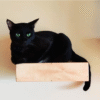 Wall Mount Floating Shelf - Sturdy and Long Lasting - 12.5 x 10 inch