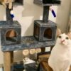 Snowfall 4ft Cat Tower Condo House with Dual Boxes & Scratch Posts – Ideal for Multi-Cat Homes