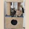 Misty’s Penthouse 3.5ft Cat Tower Condo with Scratcher – 4 Resting Spots, Ideal for 1–3 Cats