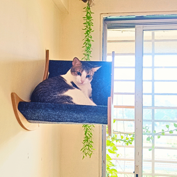 Selena Cozy Cat Wall Mount – 22" Curved Platform – Felt Carpet & Birch Wood – Winter-Friendly Design