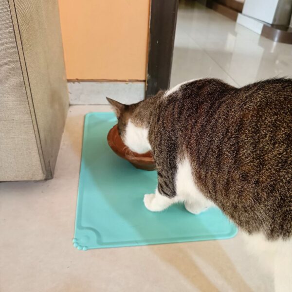 Purrly Waterproof Silicone Pet Feeding Mat for Cats - Non-Slip, Easy-Clean Placemat for Food & Water Bowls ( 48x30 cm)