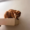 Wall Mount Floating Shelf - Sturdy and Long Lasting - 12.5 x 10 inch