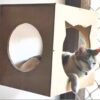 Cat Box Wall Mount Cat Shape window - Perching and Sleeping Spot