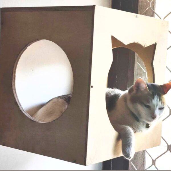 Cat Box Wall Mount Cat Shape window - Perching and Sleeping Spot
