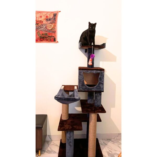 Basic King Cat Tower 5ft Condo Scratcher - Play & Lounge tower - Ideal for 1 to 3 cats