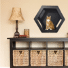 Hexagon Wall Mount Cat Box – Modern Cat Wall Shelf in Birch Plywood (Beige, Dark Brown, or Black)