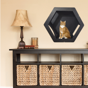 Hexagon Wall Mount Cat Box – Modern Cat Wall Shelf in Birch Plywood (Beige, Dark Brown, or Black)