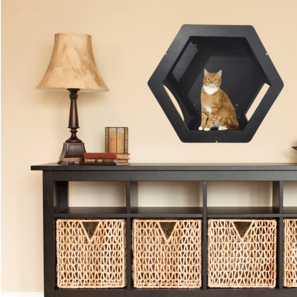 Hexagon Wall Mount Cat Box – Modern Cat Wall Shelf in Birch Plywood (Beige, Dark Brown, or Black)