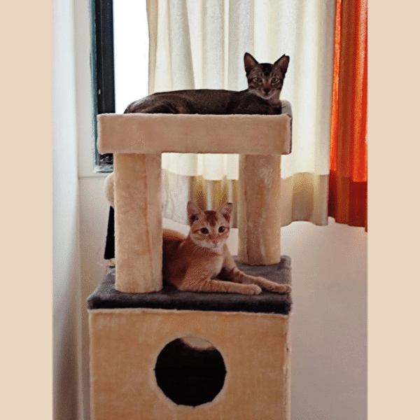 4 Misty’s Penthouse 3.5ft Cat Tower Condo with Scratcher – 4 Resting Spots, Ideal for 1–3 Cats