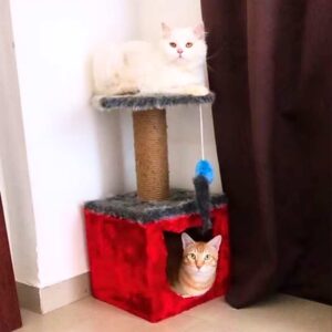 Purrly Kitten Cat Tower Condo for Kittens – 24" Tall Plywood Tree with Jute Scratching Pole & Faux Fur