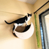 Selena Cozy Cat Wall Mount – 22" Curved Platform – Felt Carpet & Birch Wood – Winter-Friendly Design