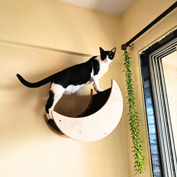 Selena Cozy Cat Wall Mount – 22" Curved Platform – Felt Carpet & Birch Wood – Winter-Friendly Design