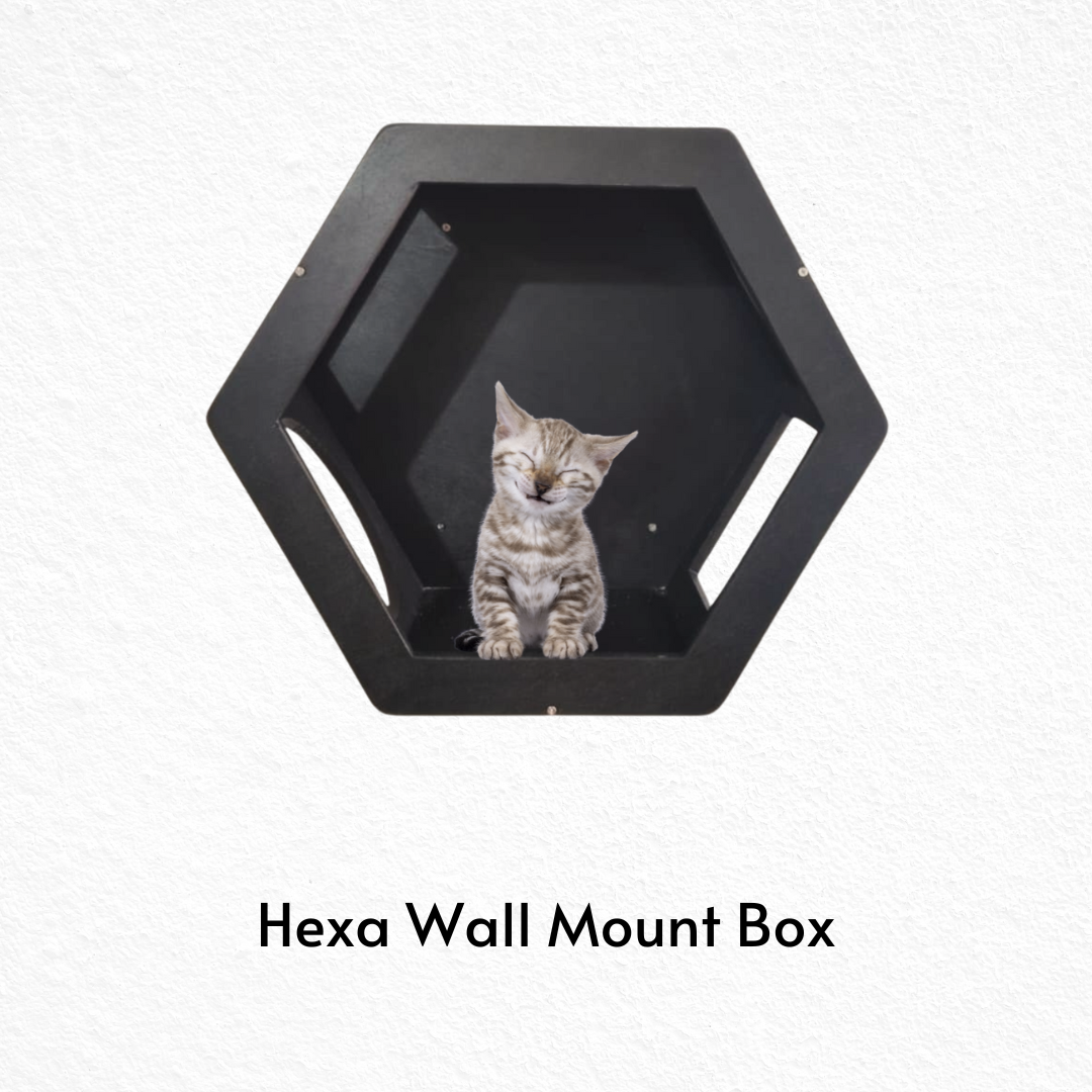 Hexagon Wall Mount Cat Box – Modern Cat Wall Shelf in Birch Plywood (Beige, Dark Brown, or Black)