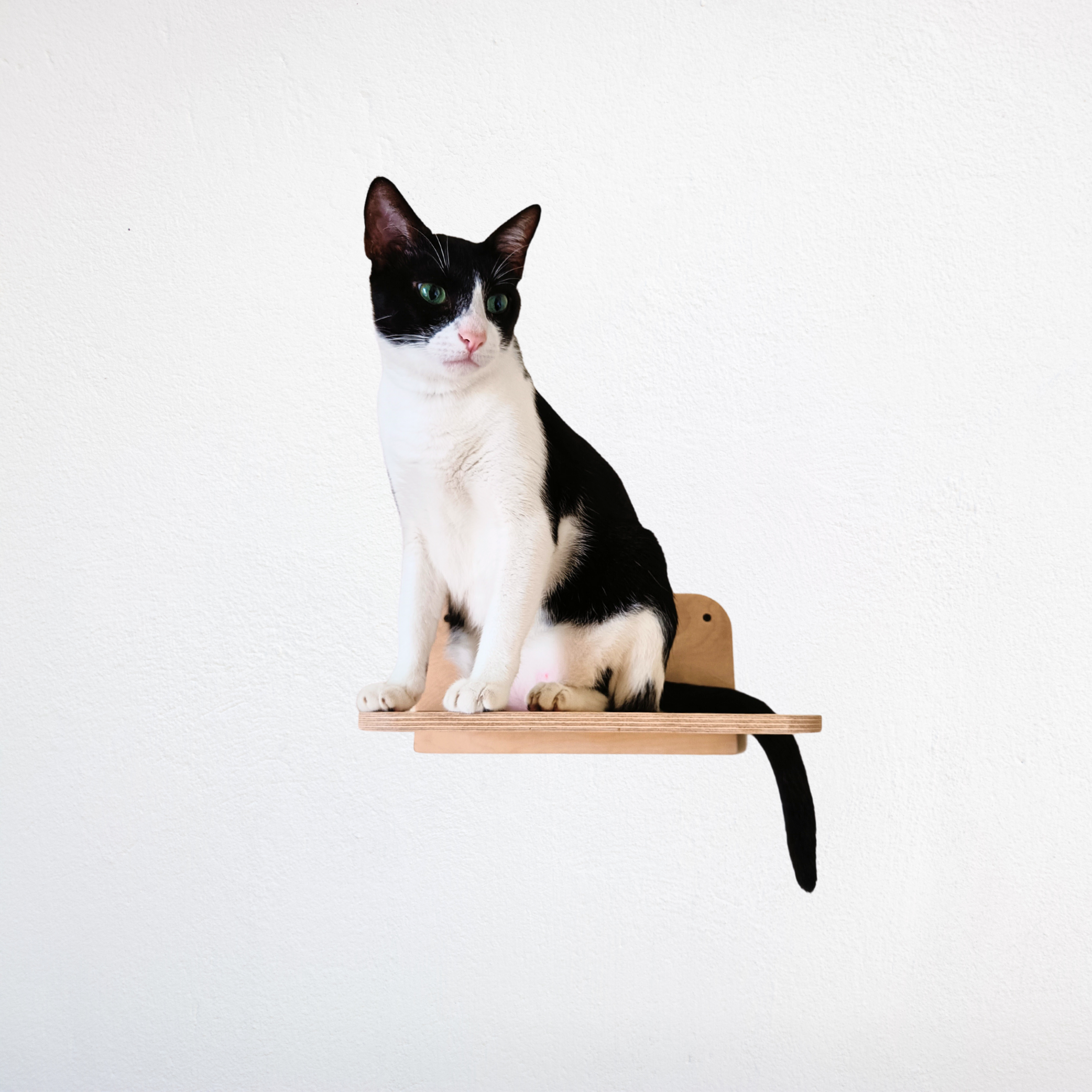 Bracket Cat Shelf – Wall-Mounted Birch Wood Perch for Cats & Kittens (12.5" x 10")