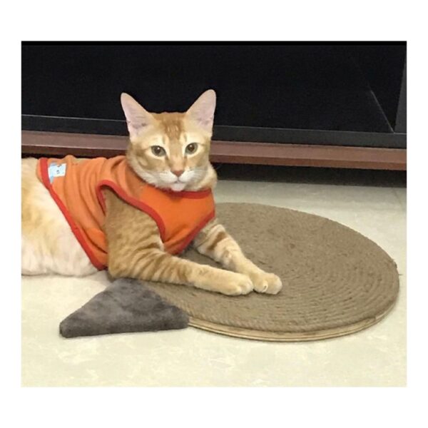 15" Cat Shape Jute Rope Horizontal Scratcher