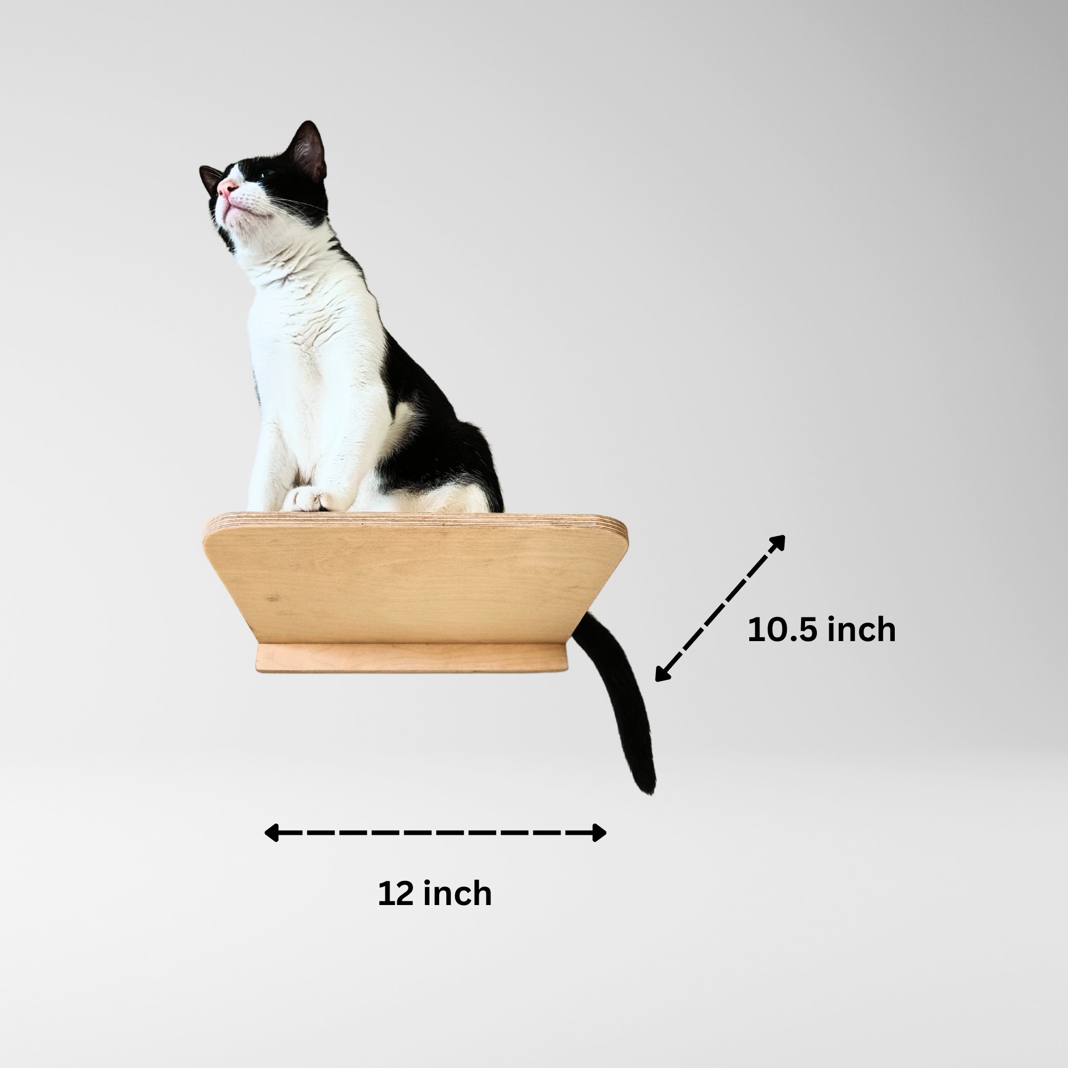 8 Bracket Cat Shelf – Wall-Mounted Birch Wood Perch for Cats & Kittens (12.5" x 10")