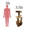 Double Truffle 43" tall Cat Tower Condo Scratcher for adult cats and kittens