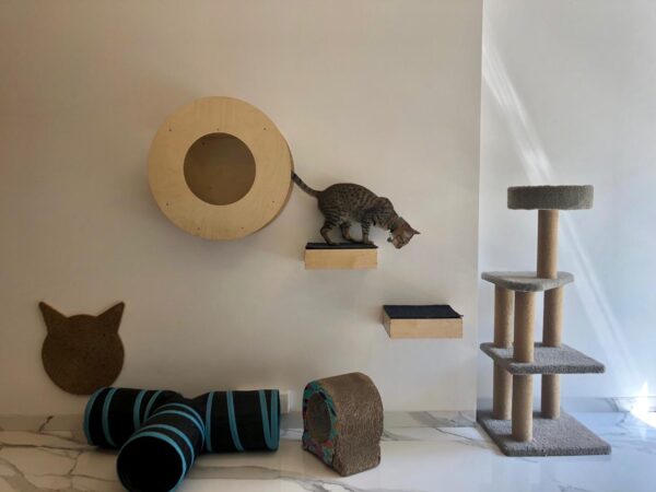 Cat Donut Wall Mount