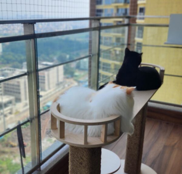Elaichi Premium Birch Cat Lounger Tower – 2.5ft Tall | NoFur Jute Scratcher for 1–3 Cats