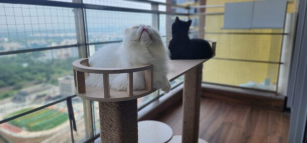 Elaichi Premium Birch Cat Lounger Tower – 2.5ft Tall | NoFur Jute Scratcher for 1–3 Cats