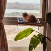 Floating Cat Hammock Grey or Beige