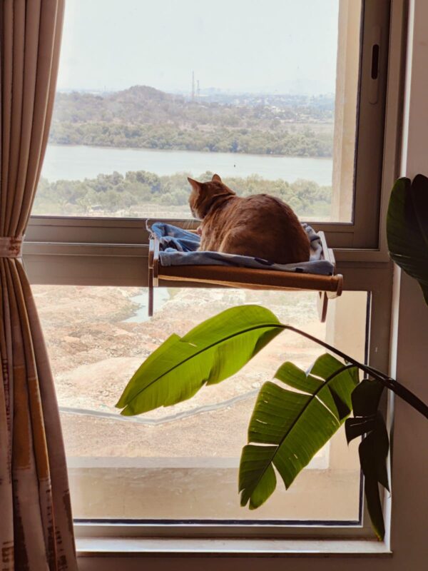 Floating Cat Hammock Grey or Beige