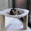 Gabbu Hammock 16" diameter 18" tall