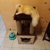 Truffle Cat Tower Scratcher & Cozy Condo – 29" Tall with  2 Scratching Poles