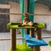 Bulbul Spacious Cat Tower – 3ft Tall | Custom Colors | 3 Rope Scratch Poles for 1–3 Cats